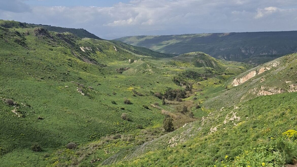 Grounding שבע דרכים פשוטות לעשות קרקוע